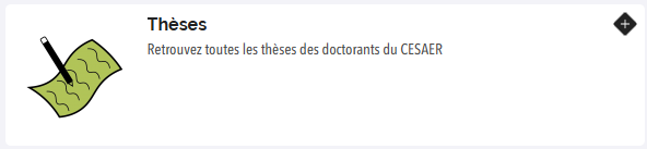 Bouton Thèses